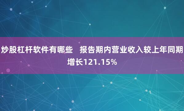 炒股杠杆软件有哪些   报告期内营业收入较上年同期增长121.15%
